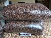 Thị trường - Tiêu dùng - Bất ngờ xác loại côn trùng được mua với giá 2,5 triệu đồng/kg, dân buôn gom từng lạng