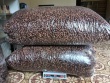 Bất ngờ xác loại côn trùng được mua với giá 2,5 triệu đồng/kg, dân buôn gom từng lạng