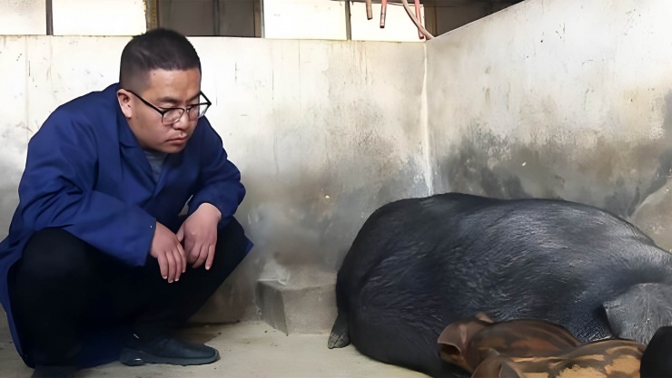 Khi ở đỉnh cao sự nghiệp, ông đã giao lại công ty cho con trai Lâm Phong. Ảnh: Baidu.