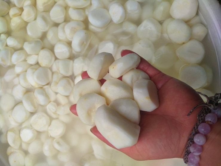 Củ mã thầy đem rửa sạch, gọt vỏ rồi ăn ngay giống củ đậu hoặc chế biến thành món chè, nấu canh
