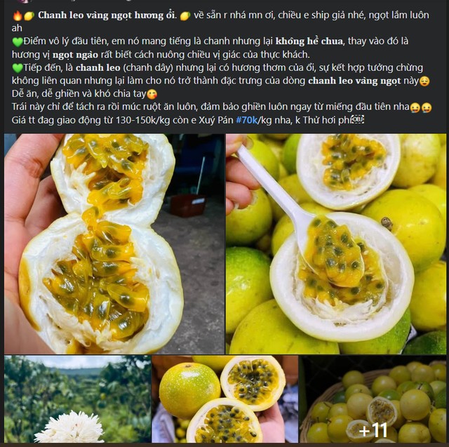 Chanh dây hoàng kim, hay còn gọi là chanh leo vàng hương ổi, là một giống chanh dây có màu vỏ vàng rực rỡ, trái ngược với loại chanh dây thông thường có vỏ màu tím đậm.