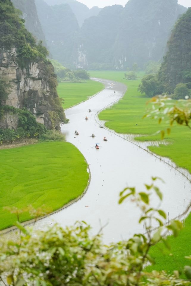Đây là lúc cánh đồng lúa hai bên dòng Ngô Đồng mướt mát một màu xanh ngọc, tạo nên khung cảnh yên bình khiến du khách không khỏi trầm trồ. Ảnh Phương Tali