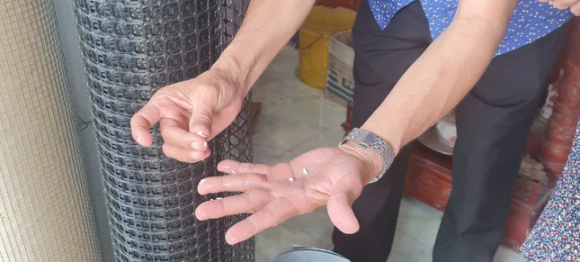 Ngâm gạo khoảng 30 phút, người dân phát hiện hạt gạo nở mềm và hơi nhớt, dùng tay bóp nhẹ giống như hạt cơm đã chín thông thường.