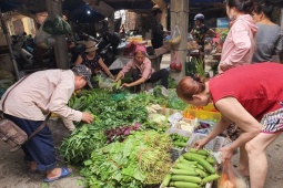 Loại rau giàu sắt gấp hơn 4 lần thịt bò có bán đầy chợ, giá chỉ vài nghìn đồng