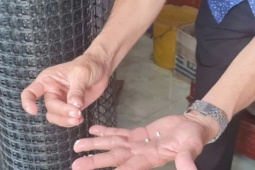 Phát hiện "gạo lạ" ở Hậu Giang