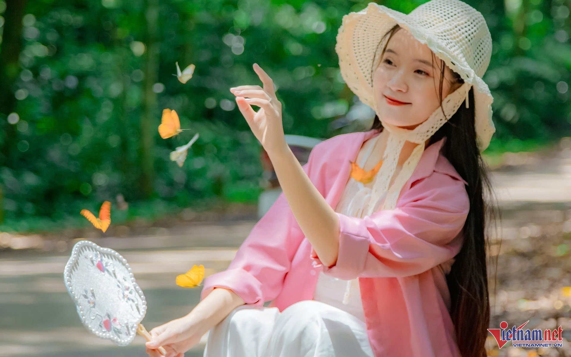Bướm bay rợp trời ở Cúc Phương đẹp miên man, giới trẻ đổ xô tới chụp ảnh - 5 Bướm bay rợp trời ở Cúc Phương đẹp miên man, giới trẻ đổ xô tới chụp ảnh - 5