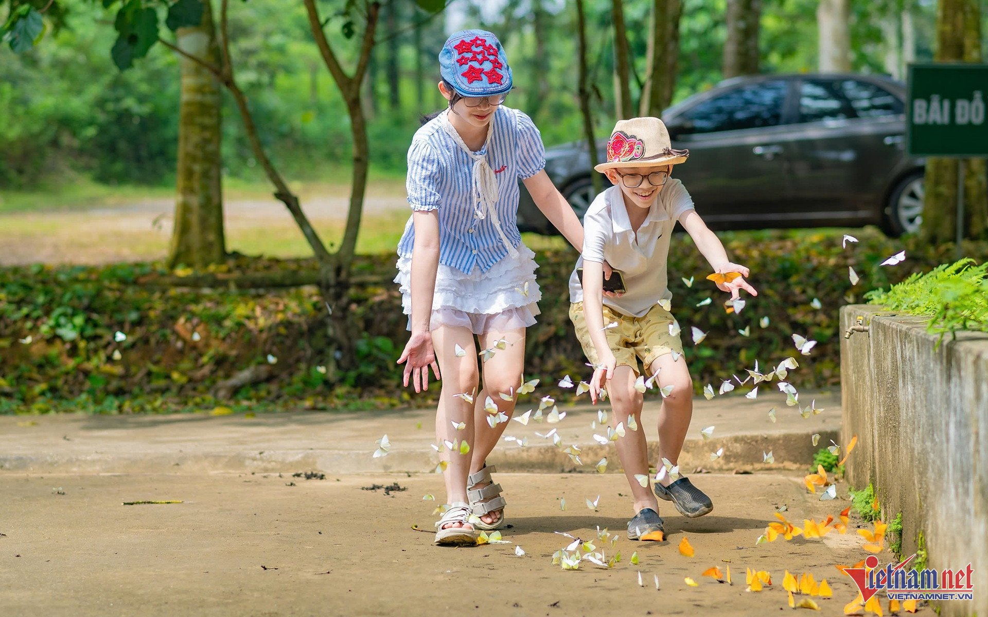Bướm bay rợp trời thu hút nhiều bạn trẻ đến Cúc Phương chụp ảnh. Ảnh: N.L Bướm bay rợp trời thu hút nhiều bạn trẻ đến Cúc Phương chụp ảnh. Ảnh: N.L