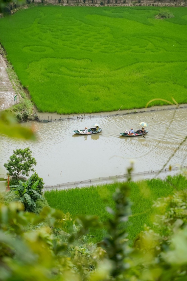 Không khí trong lành, nắng nhẹ và sắc xanh phủ đầy đất trời khiến tâm hồn như được thanh lọc. Hành trình khám phá Ninh Bình mùa lúa xanh sẽ mang đến cho du khách trải nghiệm vừa thư giãn, vừa trọn vẹn về văn hóa, thiên nhiên và con người miền Bắc. Ảnh Phương Tali
