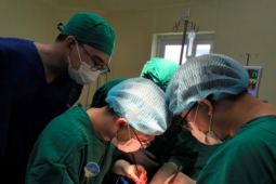 Ung thư dương vật, phải cắt bỏ  ' của quý '  vì chủ quan với vết sùi nhỏ