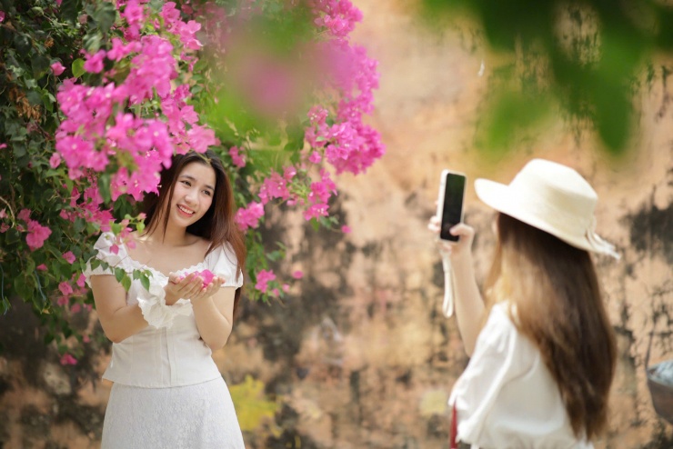 Du khách thích mê đường hoa giấy rực rỡ ở Nha Trang - 5