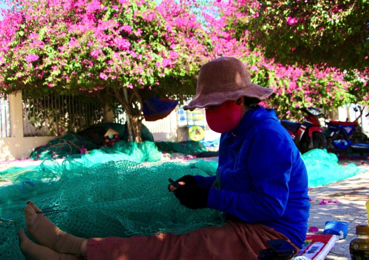 Du khách thích mê đường hoa giấy rực rỡ ở Nha Trang - 9