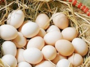 Thị trường - Tiêu dùng - Thực hư thông tin trứng gà "lạ"