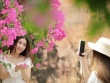 Du khách thích mê đường hoa giấy rực rỡ ở Nha Trang