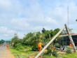 Ngành điện nói gì việc hàng loạt trụ điện gãy đôi sau cơn mưa?