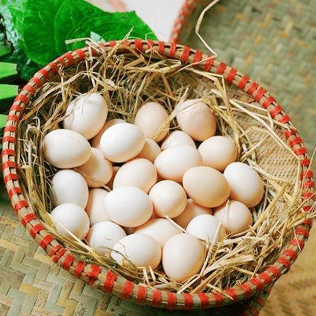 Các đoạn video, hình ảnh về “trứng gà giả” gây thiệt hại cho người chăn nuôi. Ảnh minh họa: IT.