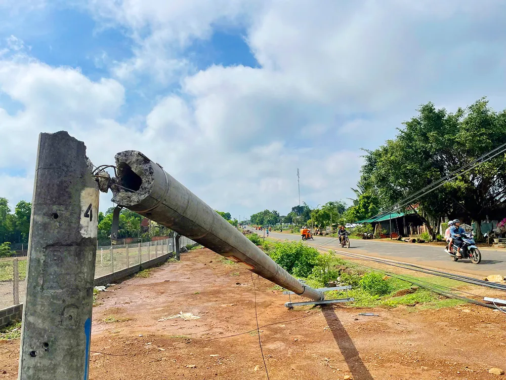 Các trụ điện bị gãy đôi. Các trụ điện bị gãy đôi.
