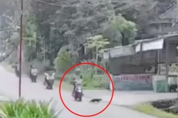 Clip: Phanh gấp tránh mèo băng qua đường, cô gái khiến nhiều xe máy đâm nhau