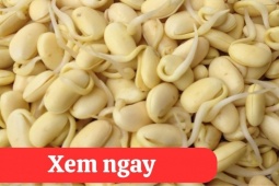 Tin tức sức khỏe - “Tái sinh” khớp gối với 2 món ăn quen thuộc – bí mật mà người bị viêm khớp, thoái hóa khớp không thể bỏ qua!