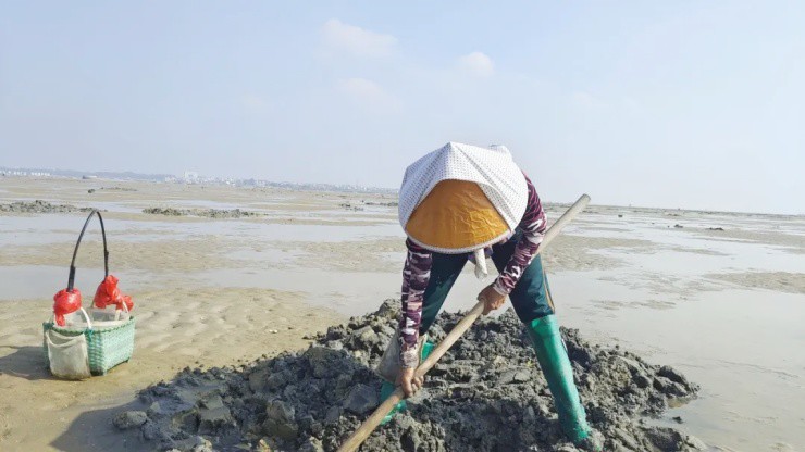 Săn loài “không có tim, gan, phổi” mà xây được biệt thự - 3
