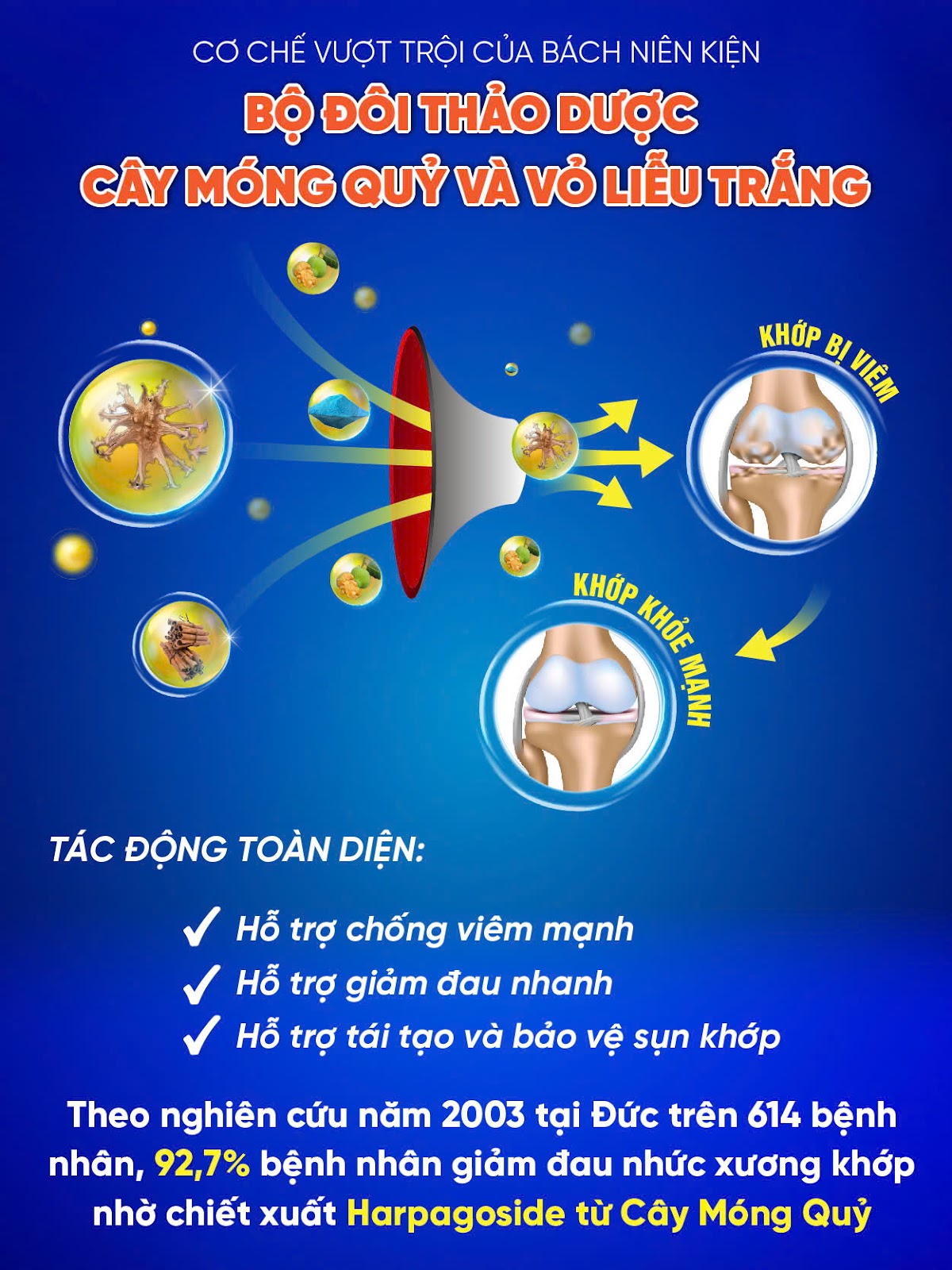 “Tái sinh” khớp gối với 2 món ăn quen thuộc – bí mật mà người bị viêm khớp, thoái hóa khớp không thể bỏ qua! - 4