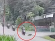 Clip: Phanh gấp tránh mèo băng qua đường, cô gái khiến nhiều xe máy đâm nhau