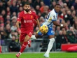 Trực tiếp bóng đá Brighton - Liverpool: “Chim mòng biển” không dễ bị bắt nạt (Ngoại hạng Anh)