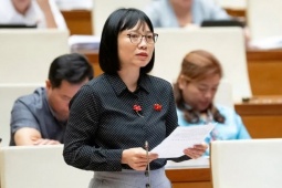 Đại biểu Quốc hội nói về vụ hoa hậu Thùy Tiên bị bắt