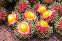 Độc đáo loại quả có ruột như lòng đỏ trứng gà, chị em thi nhau lùng mua về ăn thử