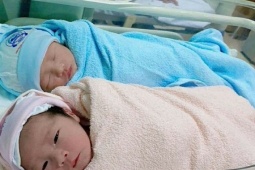Tìm bắt tinh trùng cho người đàn ông vô tinh