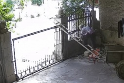Phía sau video cụ bà 90 tuổi ở Yên Bái trốn con cháu trèo cổng đi chơi