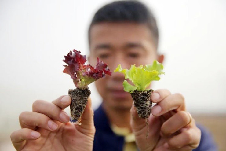 Bán nhà để làm nông dân, giờ thành đại gia tiền tỷ - 4
