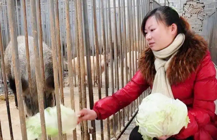 Cử nhân đại học ngủ ở chuồng lợn, nay kiếm hàng trăm tỷ/năm - 2