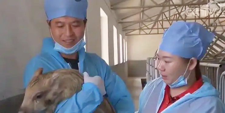 Cử nhân đại học ngủ ở chuồng lợn, nay kiếm hàng trăm tỷ/năm - 4