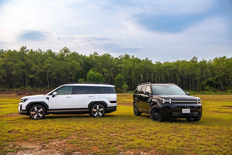 Santa Fe: Chiếc SUV bị