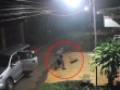 Clip: Phẫn nộ nhóm người đi ô tô trộm chó như phim hành động