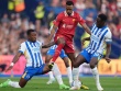 Trực tiếp bóng đá Brighton - Liverpool: Ngược dòng thành công (Ngoại hạng Anh) (Hết giờ)