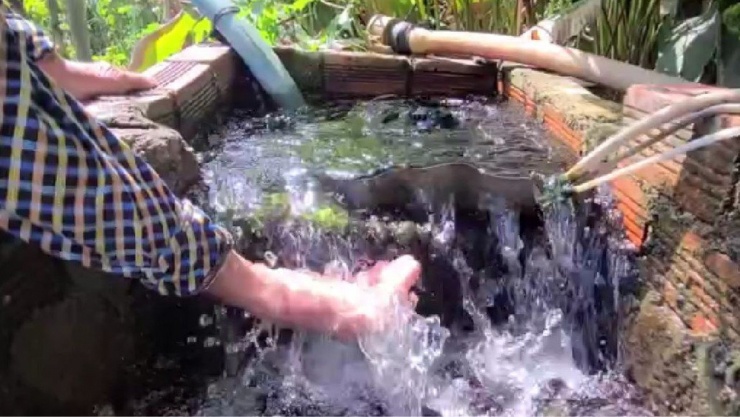 Nguồn nước từ giếng tự phun lên ào ạt. Ảnh: T.TR