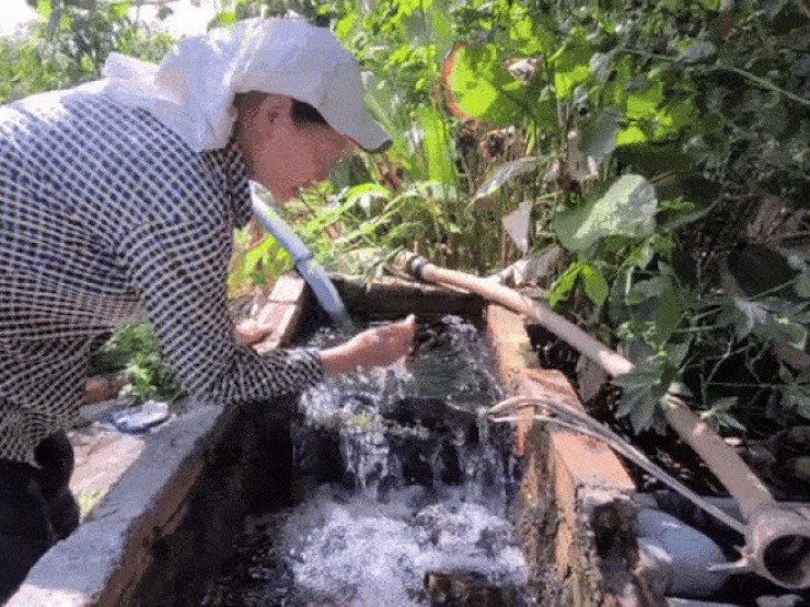 Đắk Lắk: Hàng chục giếng tự phun trào nước, người dân hưởng lợi