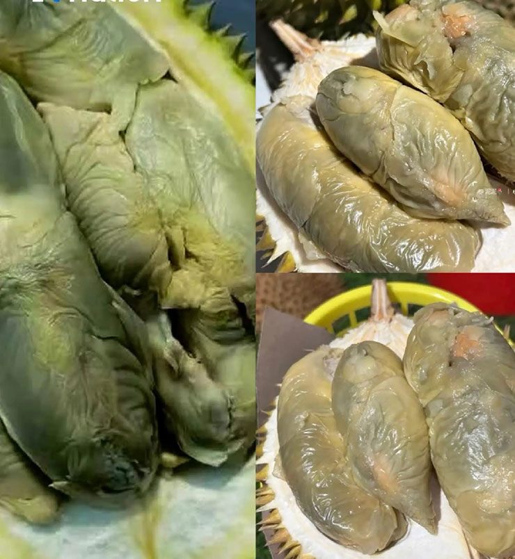 Tupai King là một loại sầu riêng đang "làm mưa làm gió" khắp châu Á vì nhiều lí do.
