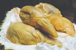 Bổ quả sầu riêng ra tưởng bị thối, ai ngờ là giống quả mới, giá tiền triệu/kg