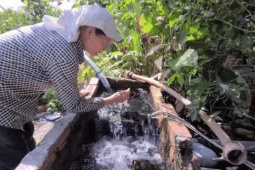 Đắk Lắk: Hàng chục giếng tự phun trào nước, người dân hưởng lợi