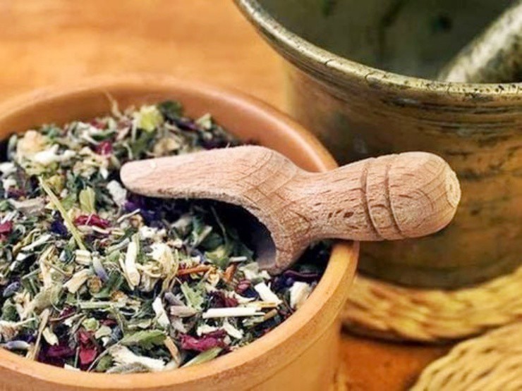 “Răng rồng” mọc ven đường hóa “mỏ vàng”, không cần chăm bón vẫn ra tiền - 3