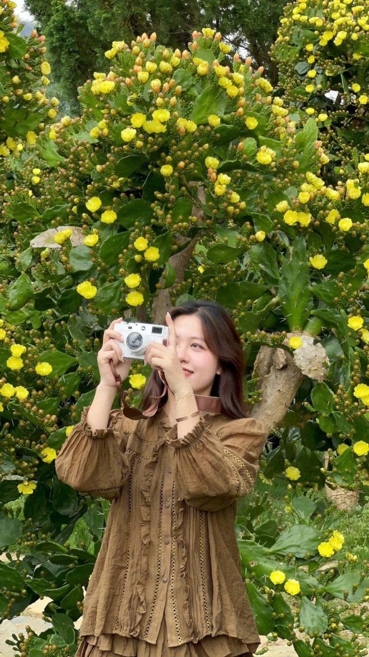 “Không ngờ xương rồng ở đây lại có thể nở đẹp đến vậy. Cảnh quan vừa lạ, vừa lãng mạn, chụp ảnh lên thì cực kỳ ấn tượng,” một du khách từ Hà Nội cho biết. Ảnh Oanh Bùi