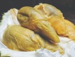 Bổ quả sầu riêng ra tưởng bị thối, ai ngờ là giống quả mới, giá tiền triệu/kg