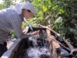 Đắk Lắk: Hàng chục giếng tự phun trào nước, người dân hưởng lợi