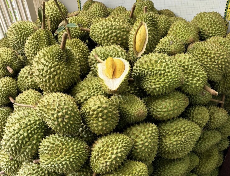 Sầu riêng Việt Nam bất ngờ nhận tin vui lớn từ Trung Quốc