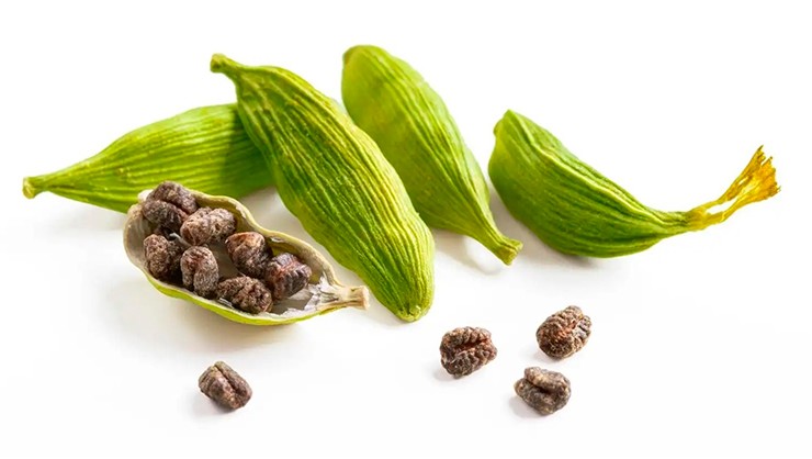Hiện có khoảng 30 thị trường nhập khẩu mặt hàng này của Việt Nam, trong đó Hà Lan, Mỹ và Anh là 3 thị trường xuất khẩu lớn nhất.

