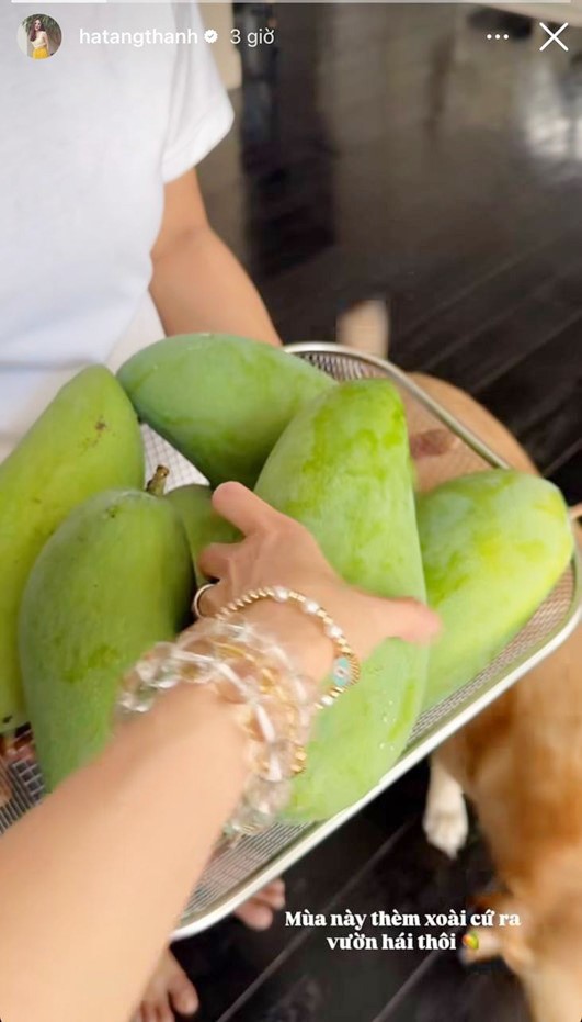 Nữ diễn viên khoe thành quả trên trang cá nhân.