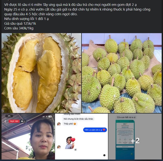 Theo các tiểu thương, trên thị trường bày bán nhiều loại sầu, người tiêu dùng nên tỉnh táo lựa chọn hàng đảm bảo.
