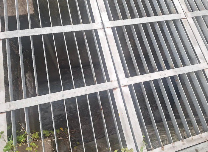 Cơ quan chức năng kiểm tra Công ty TNHH Electronic Tripod Việt Nam